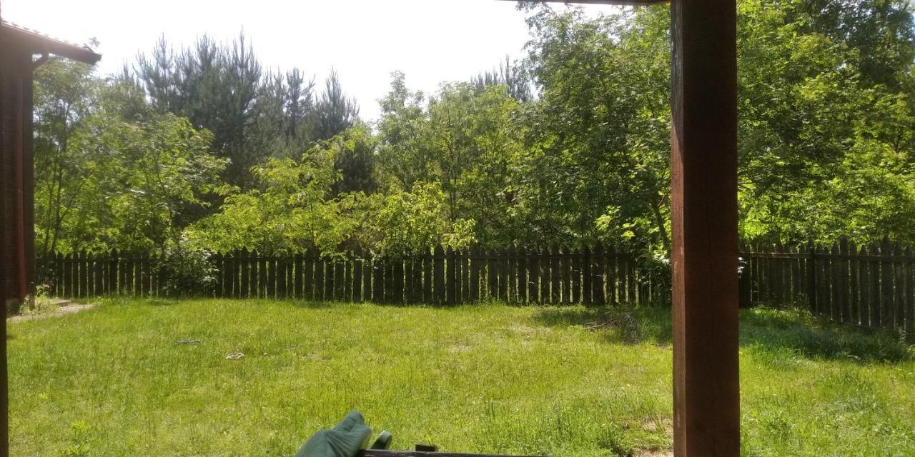 Bialowieza Spanie Na Sianie Puszcza Bialowieska Dubicze Cerkiewne エクステリア 写真